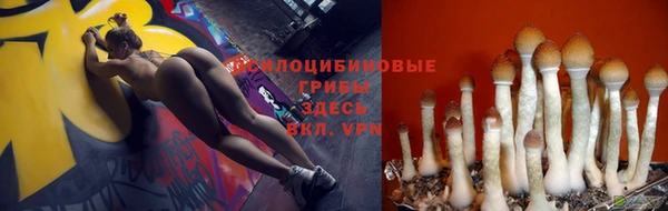 apvp Балабаново