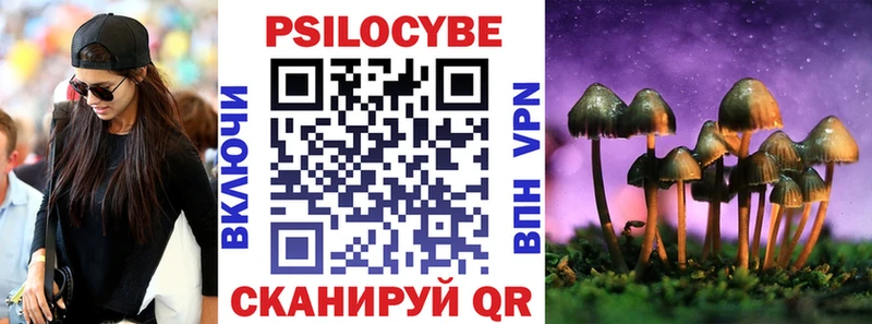 Галлюциногенные грибы Psilocybe  купить   Суджа 