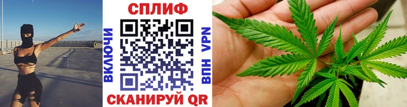 Шишки марихуана сатива Суджа
